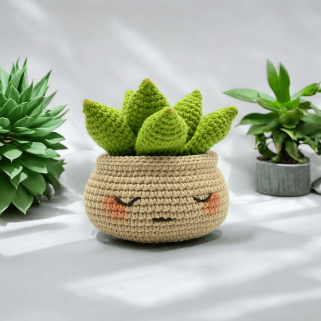 Succulente avec pot au visage mignon - Disponible en plusieurs coloris
