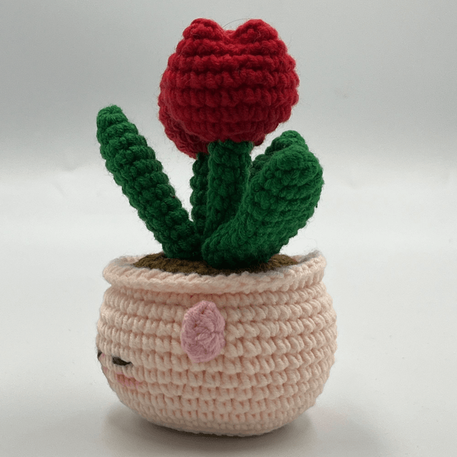 Pot Tulipe – Capy Cool