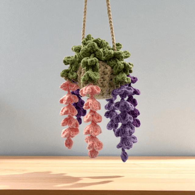 Plante Grimpante