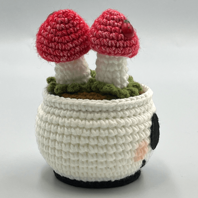 Pot de Champignons - étrange Noël