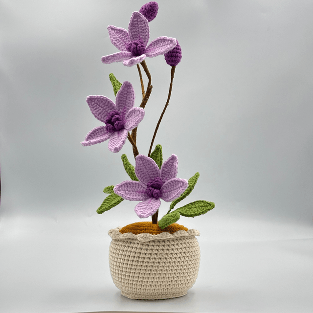 Pot de Magnolias