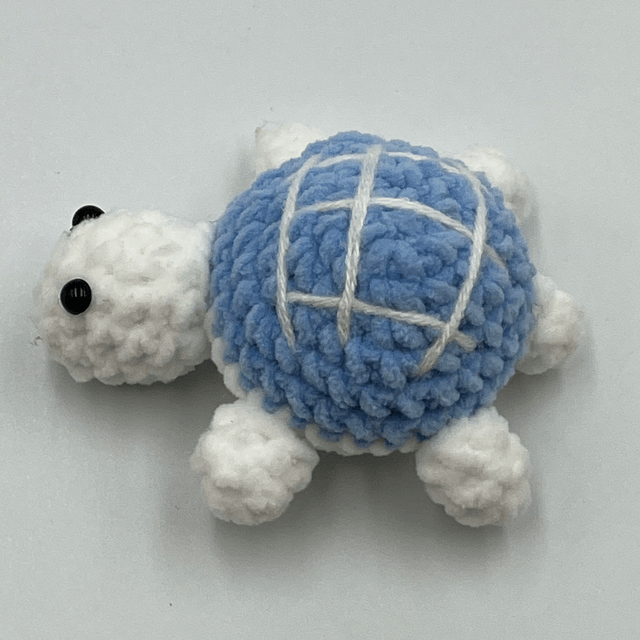 collection tortue
