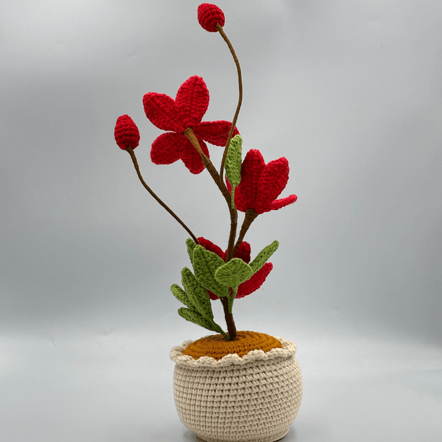Pot de Magnolias