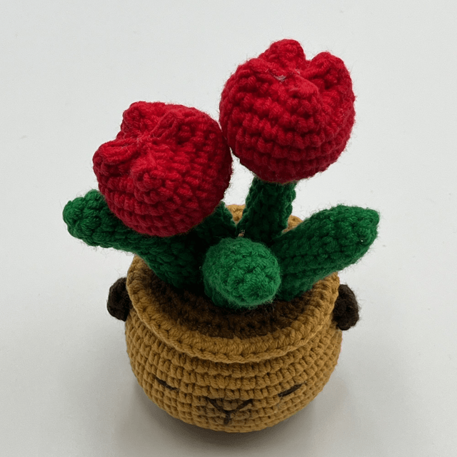  Pot Tulipe – Capy Cool