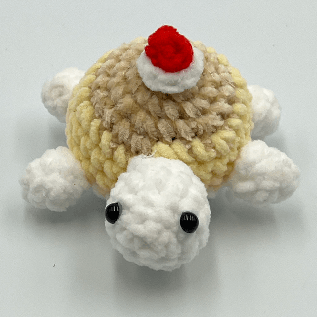 collection tortue