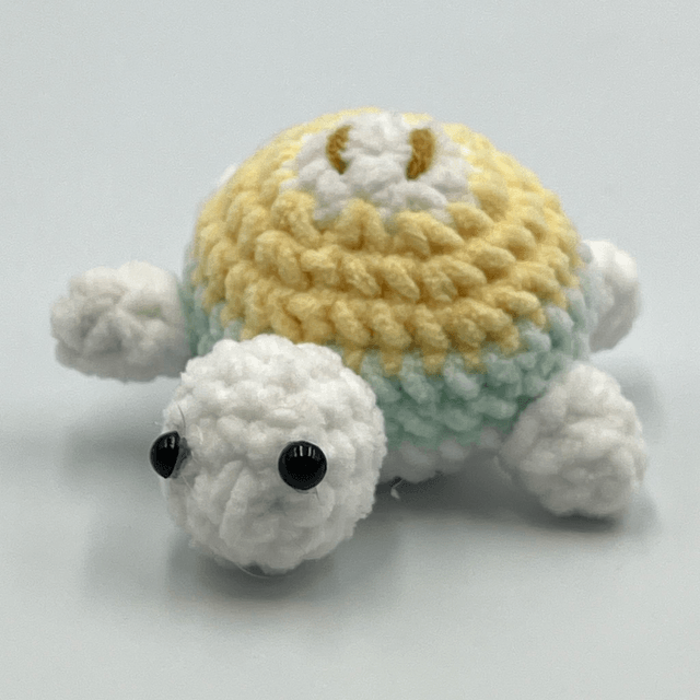 collection tortue