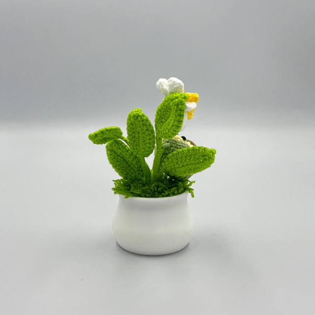 Mini pot avocat