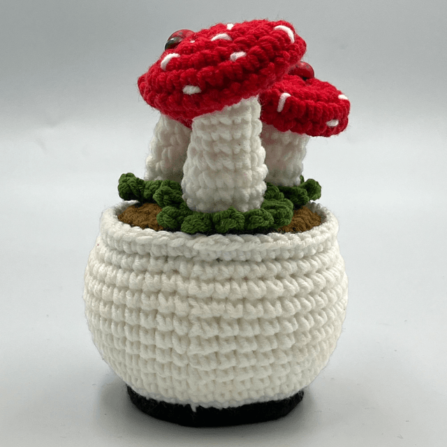 Pot de Champignons - étrange Noël