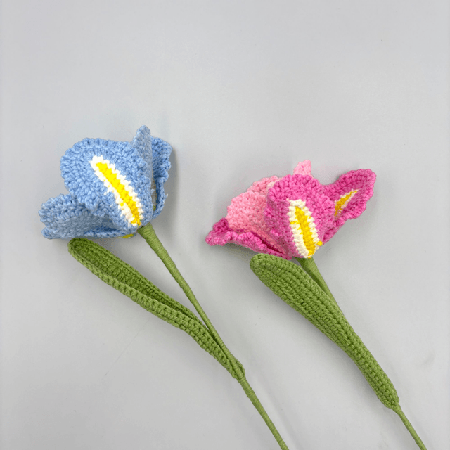 Tulipe Fantaisie 