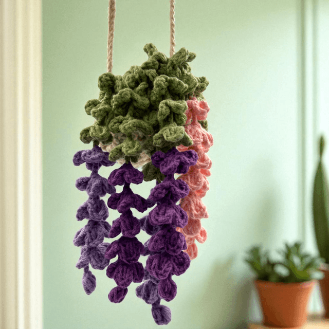 Plante Grimpante