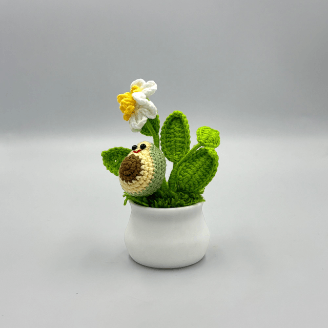 Mini pot avocat