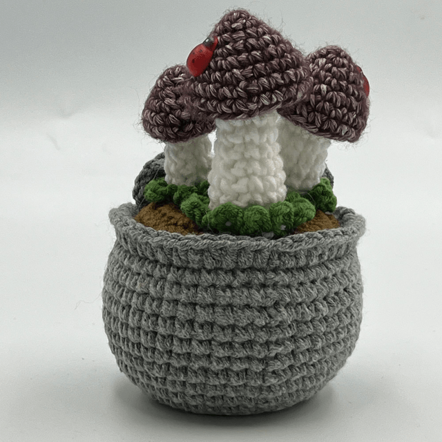 Pot Champignon – Mon Voisin dans un pot