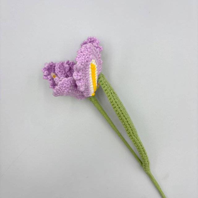 Tulipe Fantaisie 