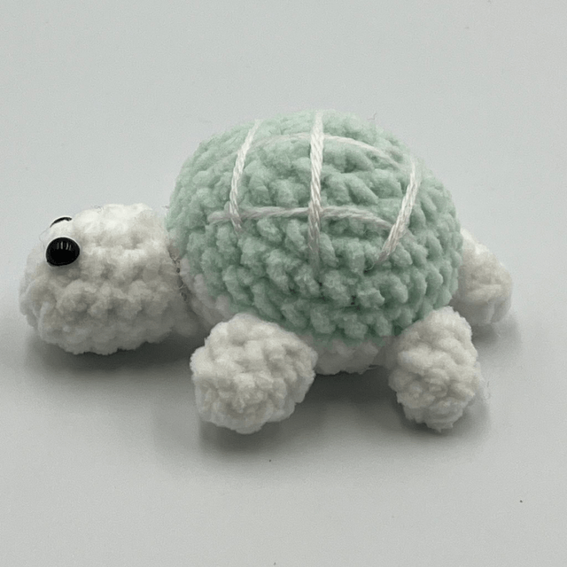 collection tortue