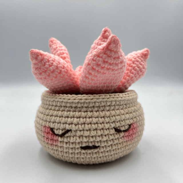 Succulente avec pot au visage mignon - Disponible en plusieurs coloris