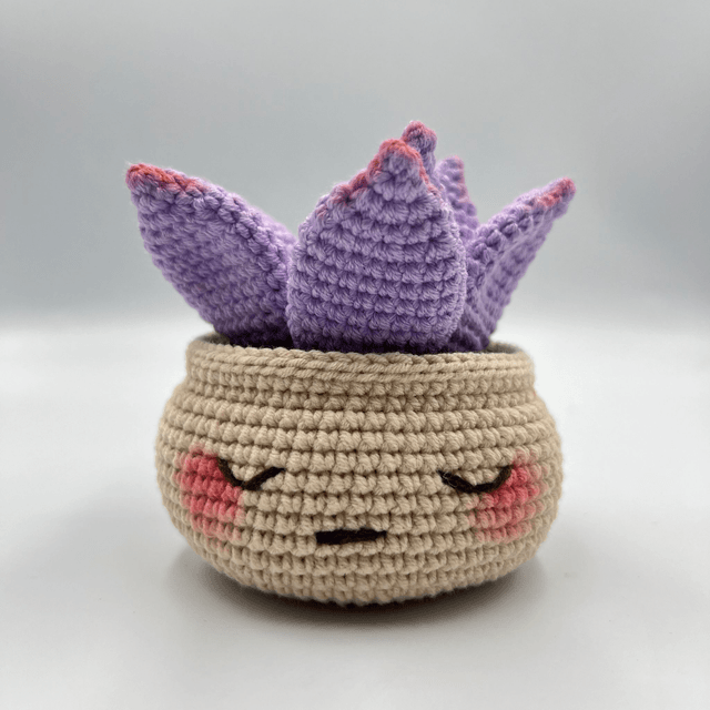 Succulente avec pot au visage mignon - Disponible en plusieurs coloris
