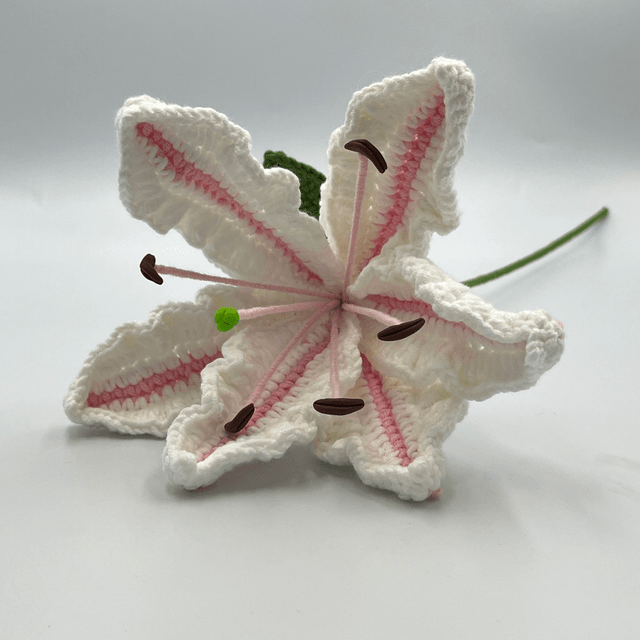  Fleur de Lys Éternelle - série 1