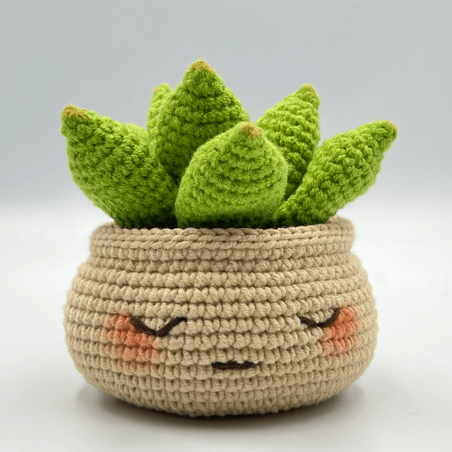 Succulente avec pot au visage mignon - Disponible en plusieurs coloris