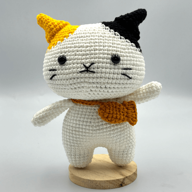 Chat Aventurier