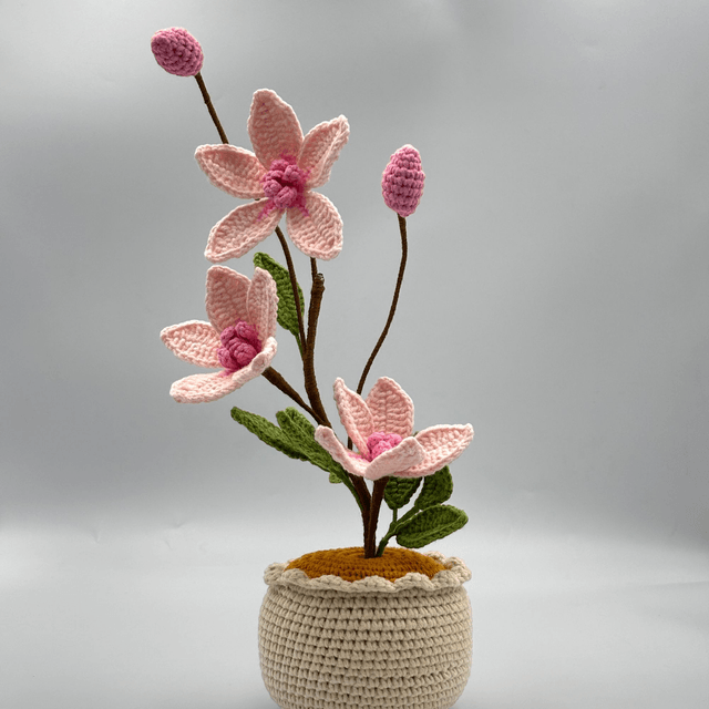 Pot de Magnolias
