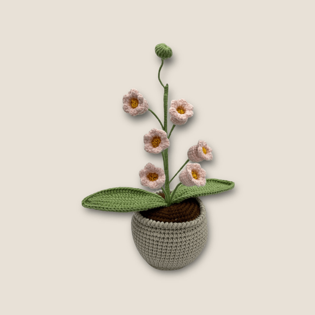 Pot de muguet