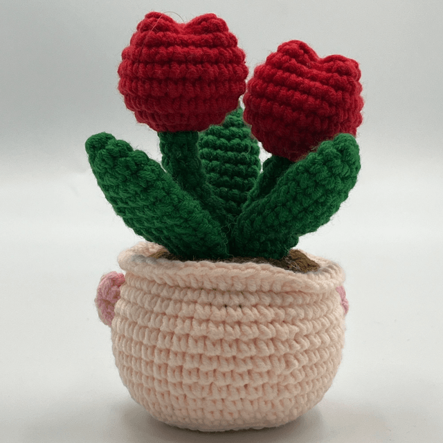  Pot Tulipe – Capy Cool