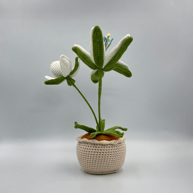 Pot de Princesse Sérénité
