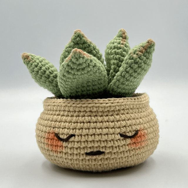 Succulente avec pot au visage mignon - Disponible en plusieurs coloris