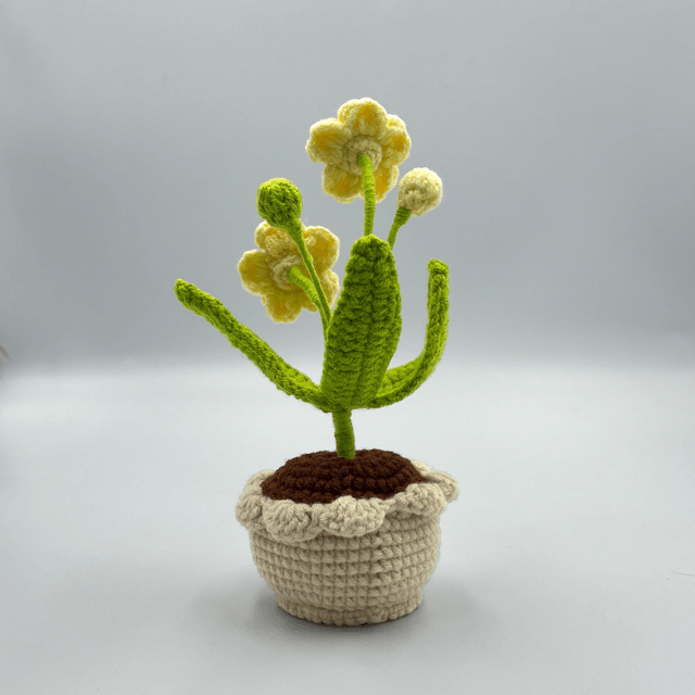 Pot de fleur coloré (3 coloris)