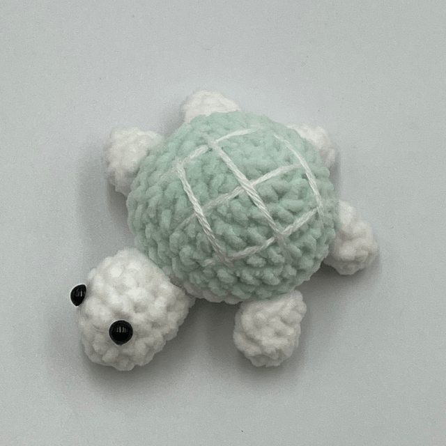 collection tortue