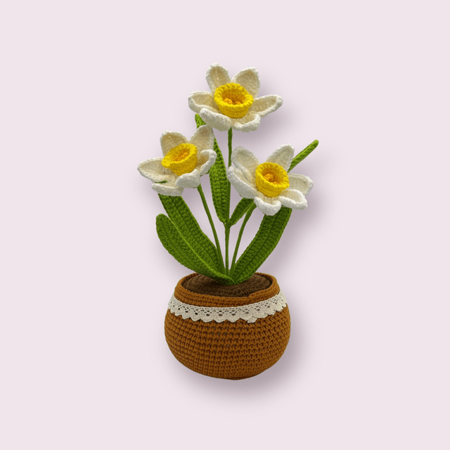 Pot de jonquilles ou narcisses