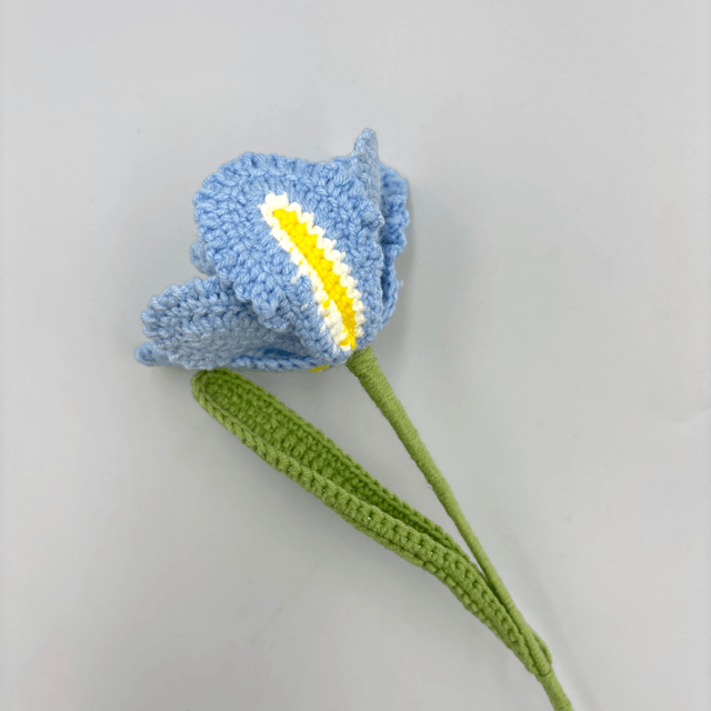 Tulipe Fantaisie 