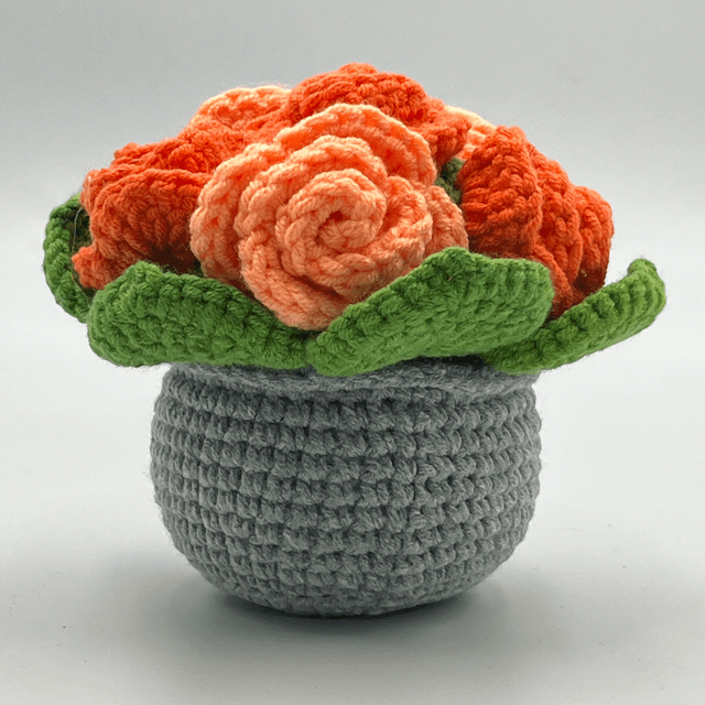 Pot Rose – Mon Voisin