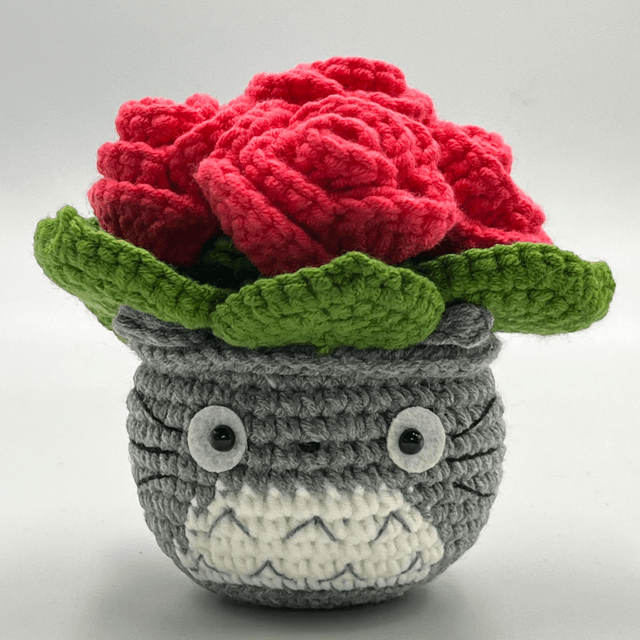 Pot Rose – Mon Voisin