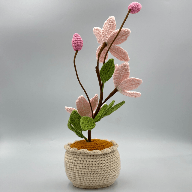 Pot de Magnolias