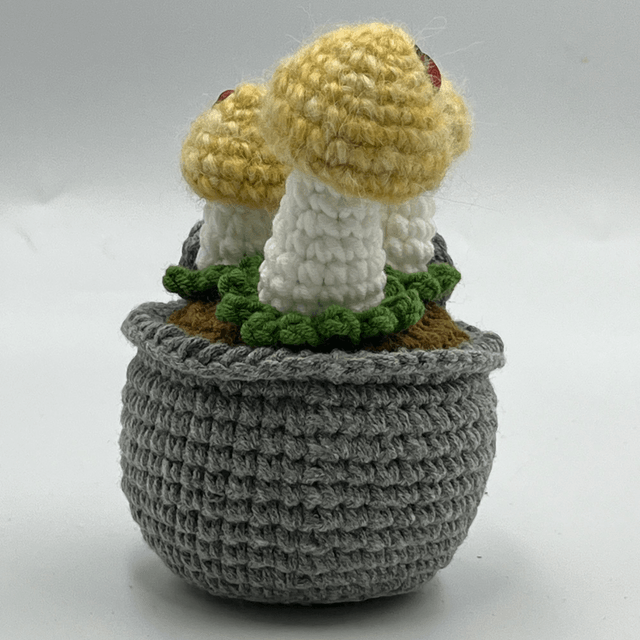 Pot Champignon – Mon Voisin dans un pot