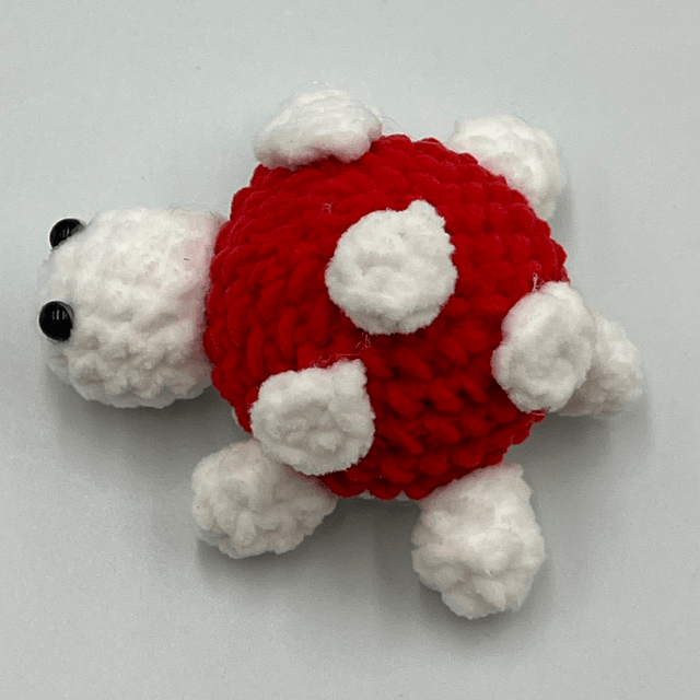 collection tortue