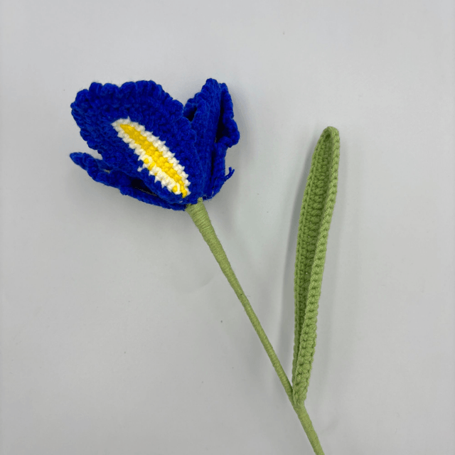  Tulipe Fantaisie 