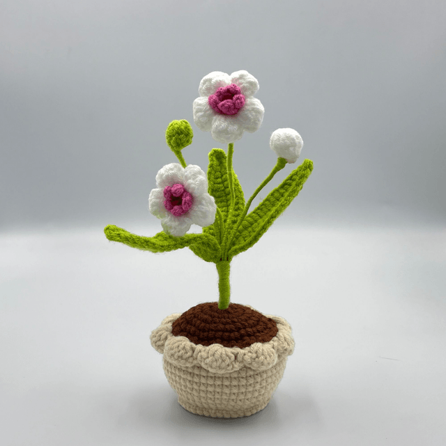 Pot de fleur coloré (3 coloris)