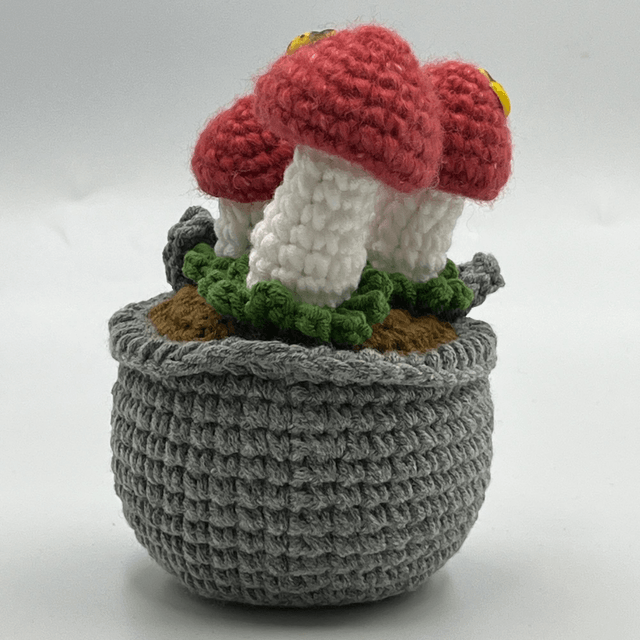 Pot Champignon – Mon Voisin dans un pot