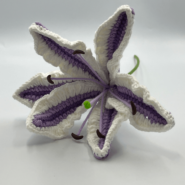  Fleur de Lys Éternelle - série 1