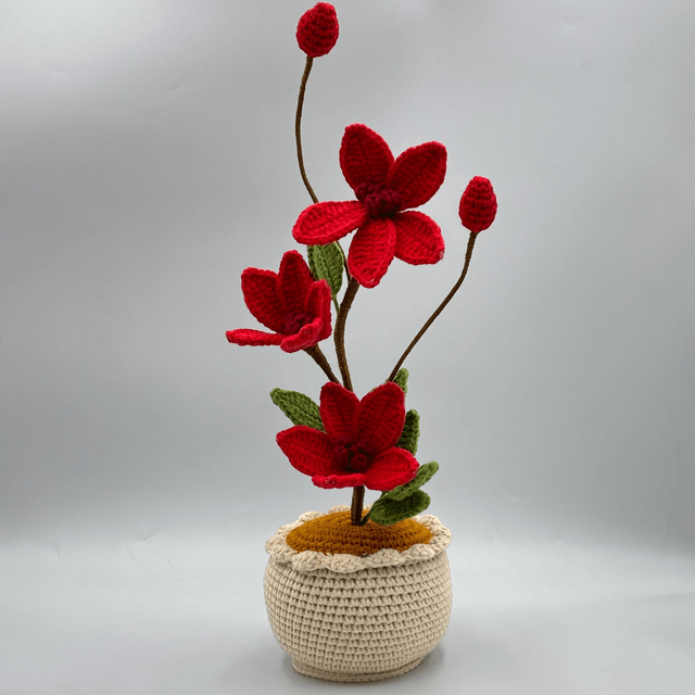 Pot de Magnolias