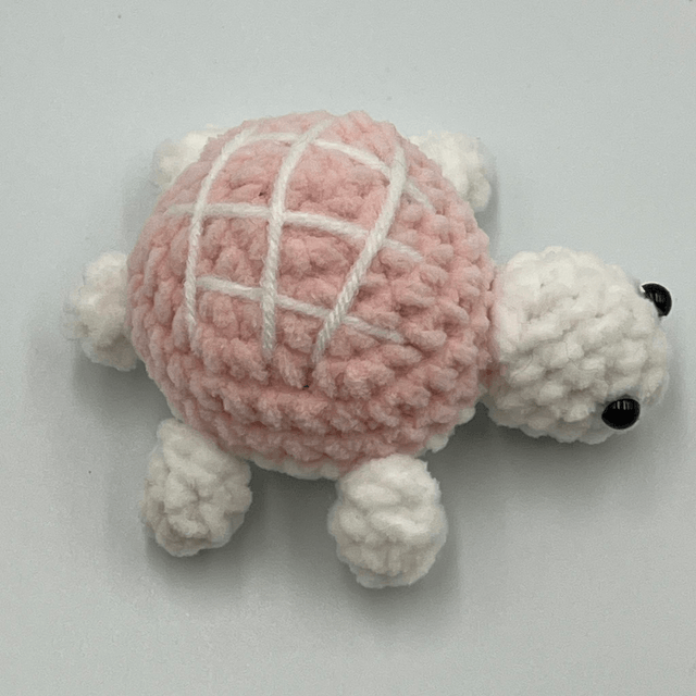 collection tortue