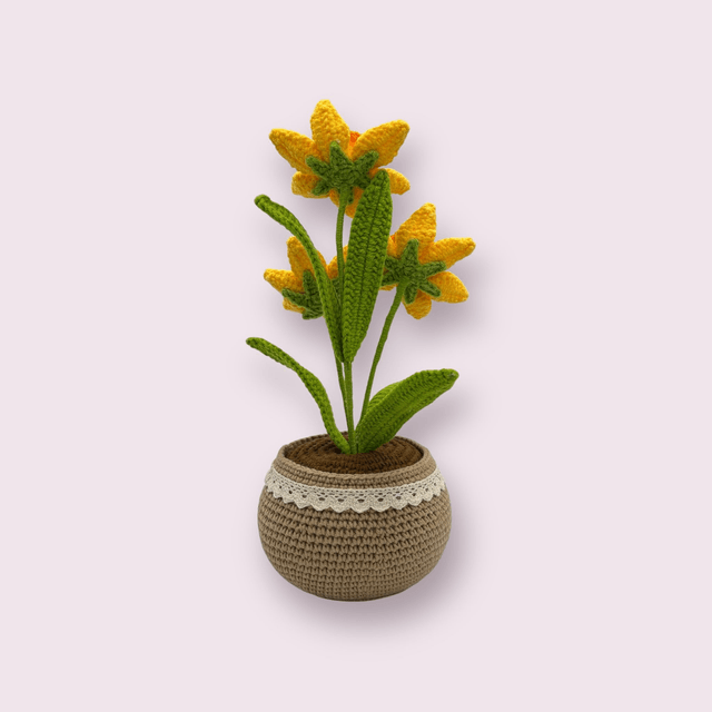 Pot de jonquilles ou narcisses