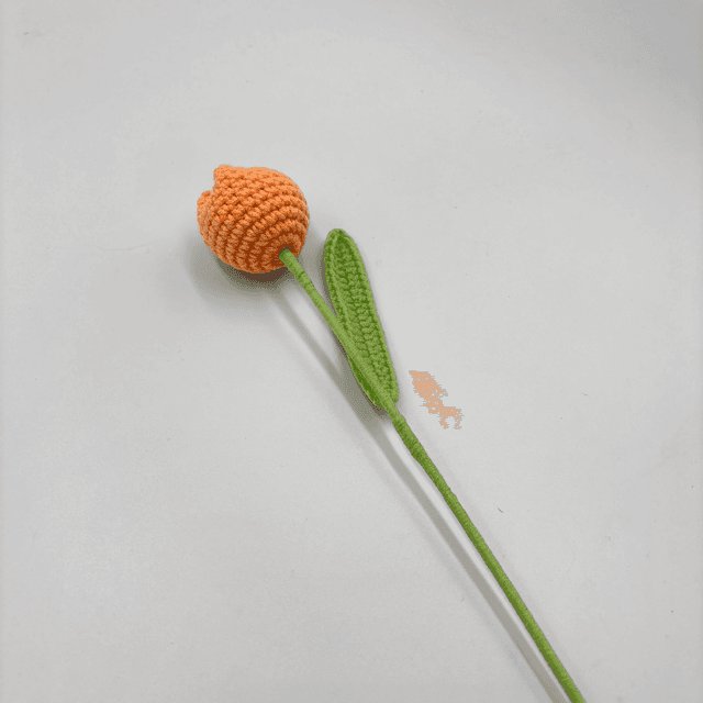 Tulipe