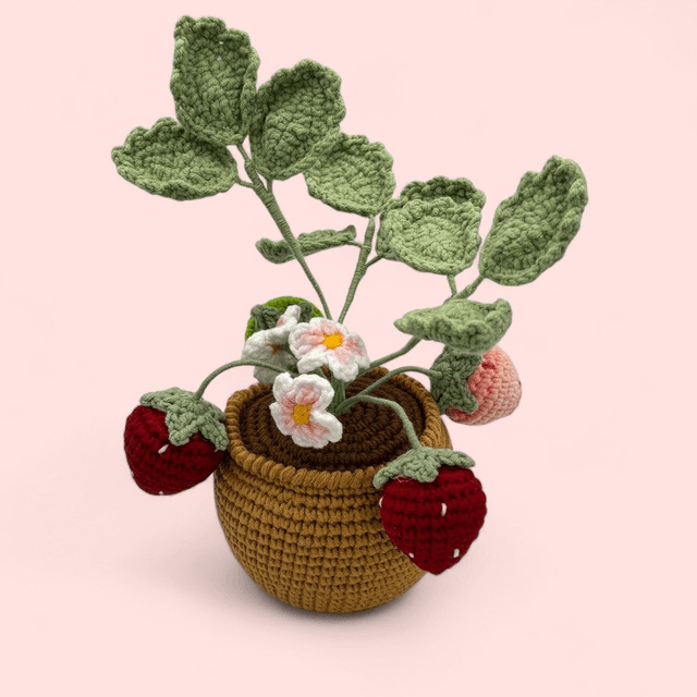 Fraisier en pot