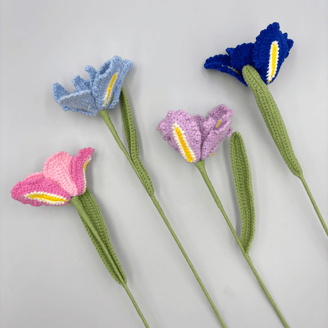  Tulipe Fantaisie 