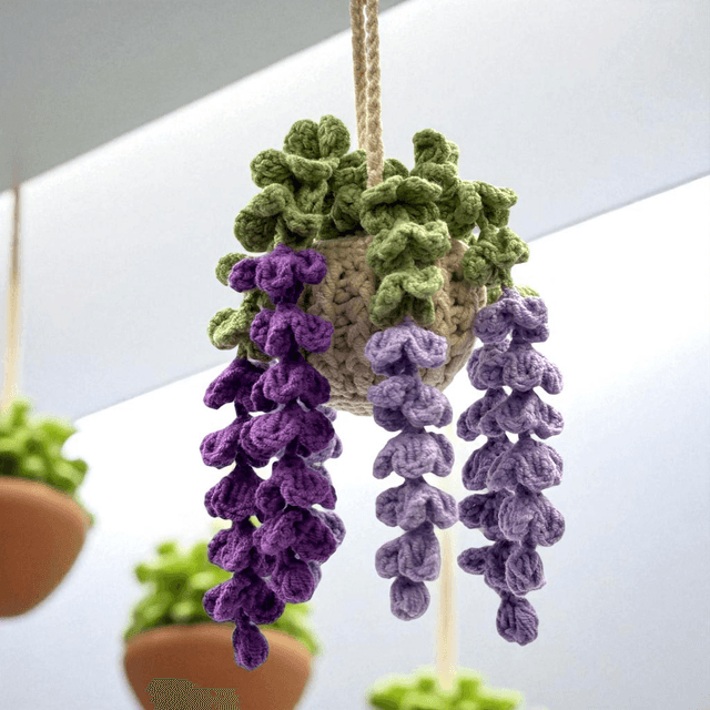 Plante Grimpante